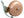 Crane Bell Co Bells and Horns Standard / Copper Crane Bell Suzu Bells