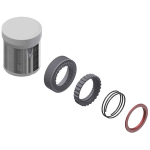 DT Swiss Hub Parts DT Swiss 36 Step Ratchet EXP Kit