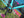 iSSi Pedal Black iSSi Trail II SPD Pedals
