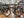 Jamis Gravel Adventure Jamis Renegade S2