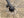 Jamis Gravel Adventure Jamis Renegade S2