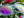 Tifosi Optics SunGlasses Tifosi Optics Smirk Aqua Shimmer Sunglasses