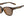Tifosi SunGlasses Java Tortoise Tifosi Stella