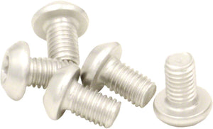 Wolf Tooth Chainring Bolts and Hardware Silver Wolf Tooth CAMO Chainring Bolt Kit